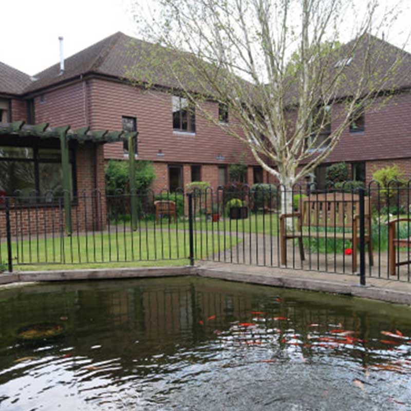 Dark brick building, small pond with gold fish in foreground